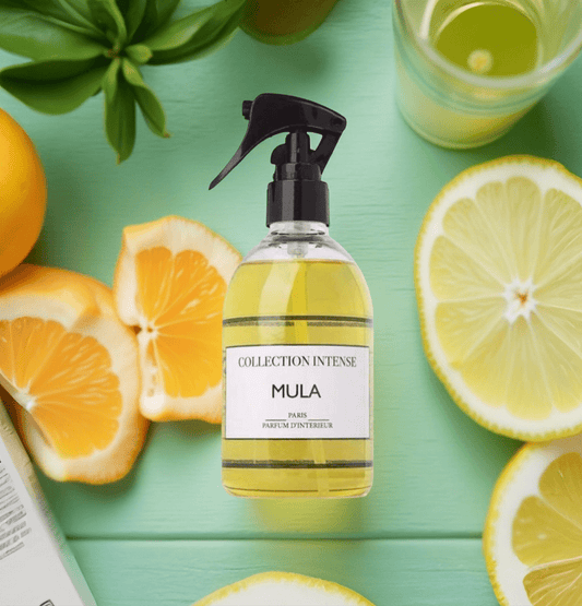 Mula – Spray Textile 250ML - smogsenteur